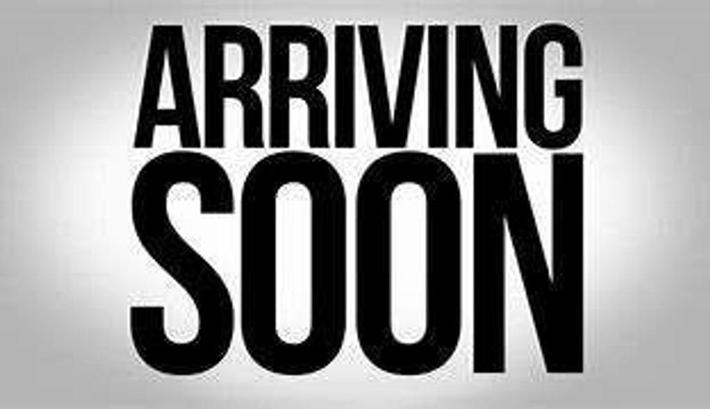 2024 Ford E-Transit Custom