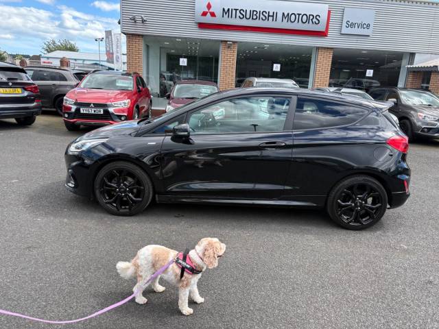 2020 Ford Fiesta 1.0T EcoBoost MHEV ST-Line Edition Hatchback 3dr Petrol Manual Euro 6 (s/s) (125 ps)